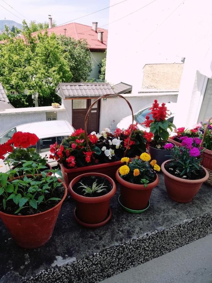 Apartman Ohren Saraybosna Dış mekan fotoğraf