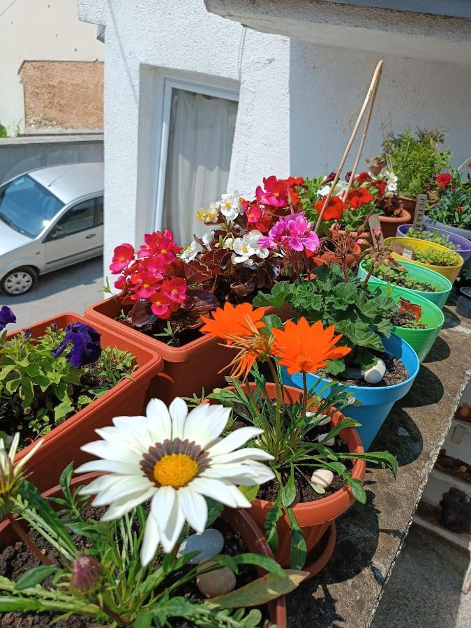 Apartman Ohren Saraybosna Dış mekan fotoğraf