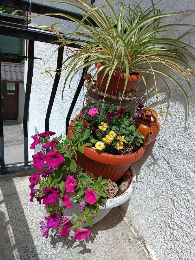 Apartman Ohren Saraybosna Dış mekan fotoğraf